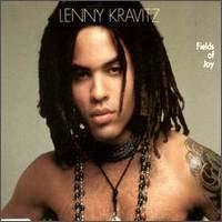 Fields of Joy (Lenny Kravitz)