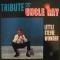Stevie Wonder - Tribute To Uncle Ray